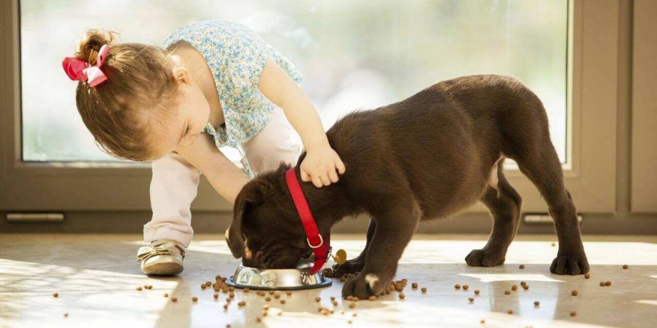 Aumentan un 14% las ventas mundiales en cuidados para mascotas.