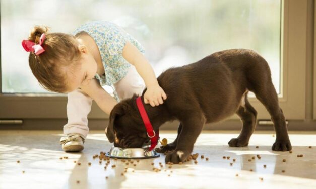 Aumentan un 14% las ventas mundiales en cuidados para mascotas.