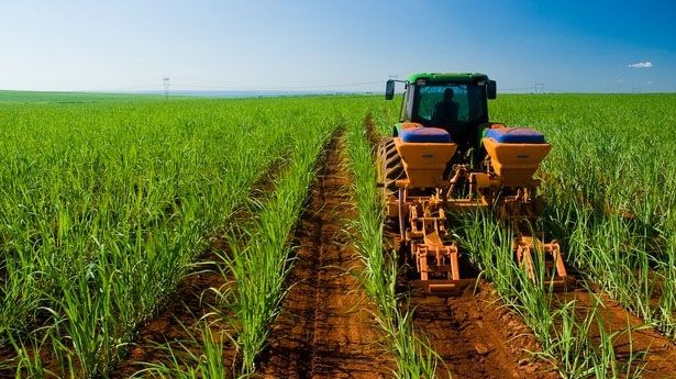 Gobierno elimina el Programa de Aseguramiento Agropecuario.