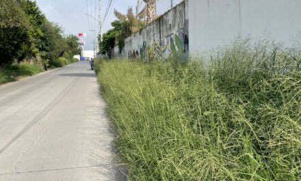 Municipio descuida calles y banquetas.