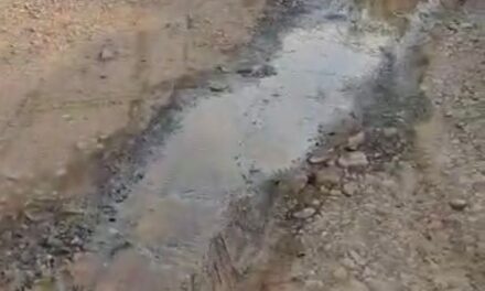 Enorme fuga de agua recorre calles de la Américo Villarreal.