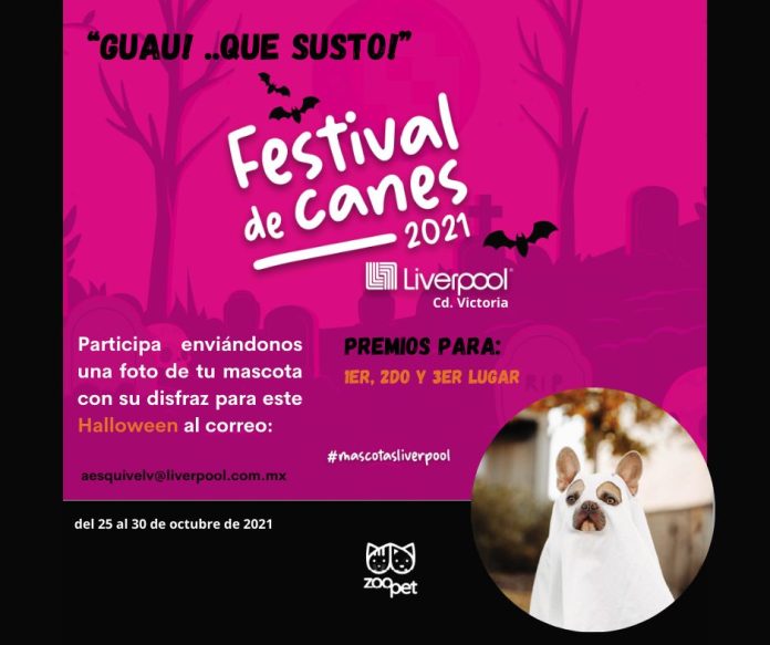 Convoca Liverpool a concurso de disfraces para mascotas