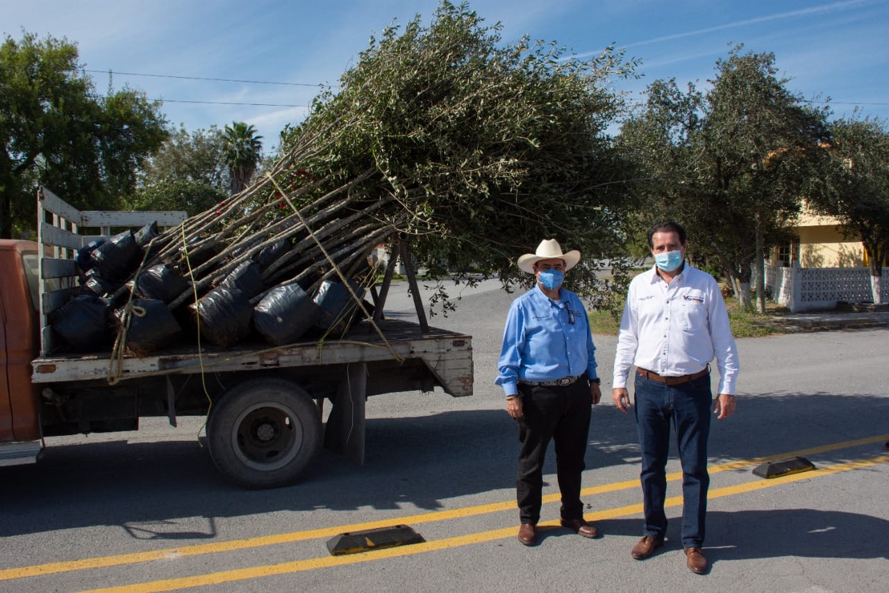 Inicia la Reforestación de la Alameda “Margarita Maza de Juárez” en Valle Hermoso