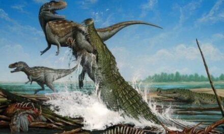 Descubrimiento de una nueva especie de cocodrilo del periodo Cretácico