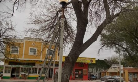 Rehabilita gobierno de Río Bravo, Plaza principal de N. Progreso