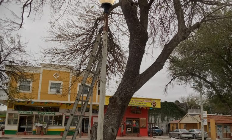 Rehabilita gobierno de Río Bravo, Plaza principal de N. Progreso