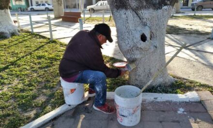 Plaza pública de Nuevo Progreso es embellecida para celebrar «Día del Turista»