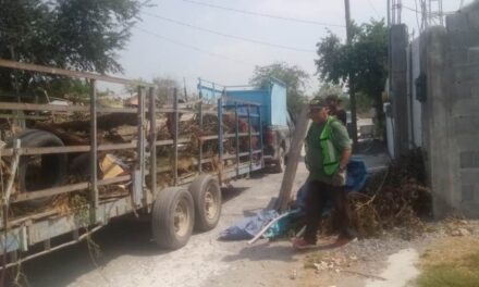 Descacharrizan Nuevo Progreso y evitan dengue, hoy es una villa más limpia