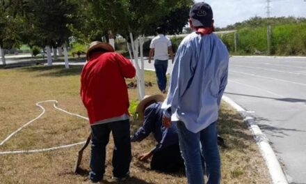 REFORESTA MUNICIPIO LA UNIDAD DEPORTIVA «LAS LIEBRES»