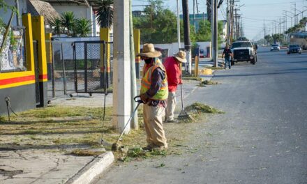 El Departamento de parques y jardines realizan los trabajos al caso, para que nuestra querida ciudad esté en debidas condiciones de limpieza.