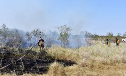 Protección Civil y Bomberos de Río Bravo controla incendio