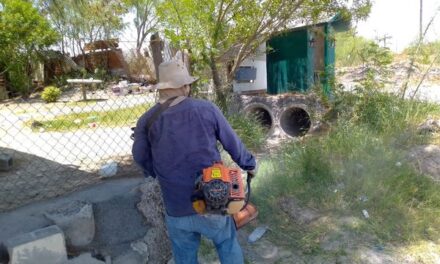 Personal de Parques y Jardines llevan a cabo la limpieza de drenes pluviales