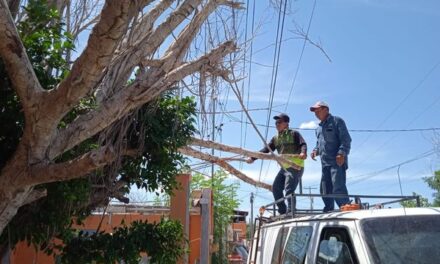 MUNICIPIO EVITA INCIDENTES CON CABLEADO DE ALTA TENSIÓN EN RIVERAS DEL BRAVO