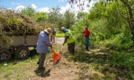 Departamento de parques y jardines de Valle Hermoso, realizó diversas acciones de limpieza, deshierbe, corte de ramas y remoción de desechos