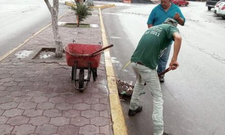 Personal de Servicios Públicos realizan labores de limpieza en camellones de diversas avenidas con el fin de preservar en buen estado estos espacios.