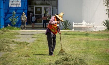 Departamento de Parques y Jardines llevó a cabo labores de limpieza y deshierbe, en el área verde adyacente a la Biblioteca Valle Hermoso.