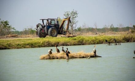 Trabajamos día con día en Valle Hermoso por mejores parques y lugares de esparcimiento.