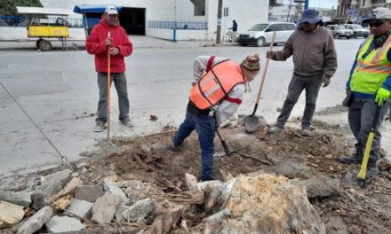 INICIA GOBIERNO DE RÍO BRAVO REFORESTACIÓN TOTAL DE PLAZA BENITO JUÁREZ