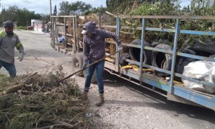 ELIMINA MUNICIPIO FOCOS DE DENGUE EN NUEVO PROGRESO