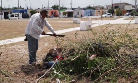 MANTENIMIENTO TOTAL A PARQUES MUNICIPALES EN NUEVO AMANECER Y BRISAS DEL CAMPO