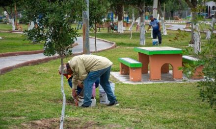 Continúan trabajando con la encomienda de nuestro Presidente, Dr. Alberto Alanis Villarreal