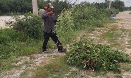 BRISAS DEL CAMPO Y PRADERAS DEL SOL CUENTAN CON ÁREAS VERDES MUNICIPALES EN OPTIMAS CONDICIONES