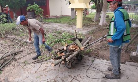 MUNICIPIO RETIRA ÁRBOLES CAÍDOS POR LAS AFECTACIONES CLIMATOLÓGICAS