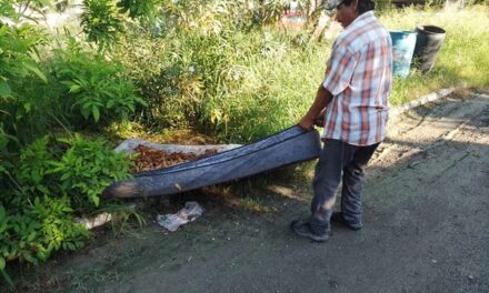 INSTRUYE ALCALDE LIMPIEZA COMPLETA EN BRISAS DEL CAMPO PASEO DEL VALLE