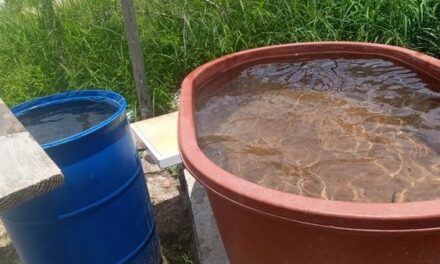 PARA MITIGAR ALTAS TEMPERATURAS GOBIERNO DE RÍO BRAVO PROSIGUE CON ENVÍO DE PIPAS DE AGUA A SECTORES VULNERABLES.