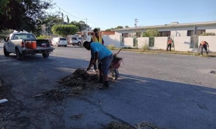 LIMPIEZA PERMANENTE ES PRIORIDAD PARA EL GOBIERNO DE RÍO BRAVO EN VIALIDADES PRINCIPALES