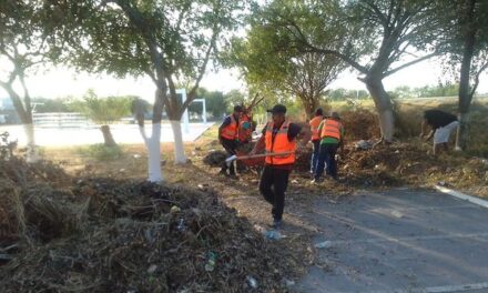 CON APOYO DE ALCALDE LALO YÁLEZ, SE DESCACHARRIZAN Y REHABILITAN ÁREAS VERDES EN COLONIA NUEVO AMANECER