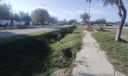 CUADRILLAS MUNICIPALES DESPEJAN DREN PARA PREVENIR INUNDACIONES EN NUEVO PROGRESO