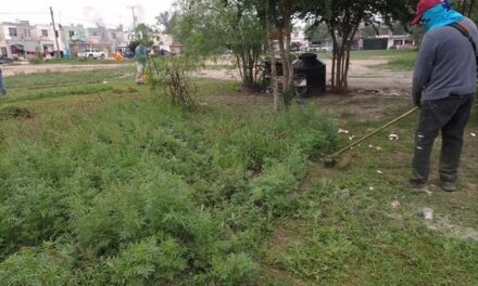 DA GOBIERNO DE RÍO BRAVO MANTENIMIENTO A ÁREAS VERDES EN BRISAS DEL CAMPO