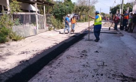 LLEVA MUNICIPIO JORNADA DE BACHEO A COLONIA BENITO JUÁREZ