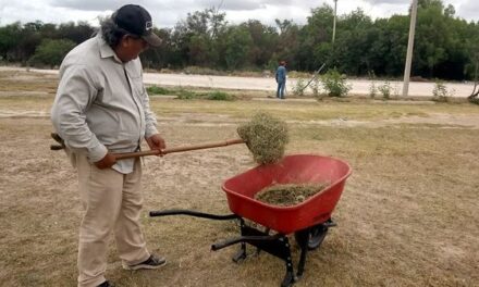 NI CALOR NI LLUVIAS FRENAN A MUNICIPIO; SE DIGNIFICAN ESPACIOS FAMILIARES