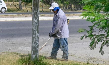 CORTE DE PASTO EN LA AV. LÁZARO CÁRDENAS