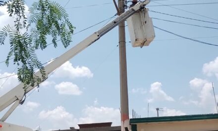 REFUERZA MUNICIPIO ALUMBRADO EN COLONIAS Y FRACCIONAMIENTOS