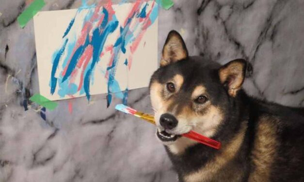 Hunter, el perrito pintor que ha ganado 15.000 euros con sus cuadros