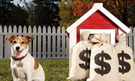 Mexicanos gastan su dinero en mascotas