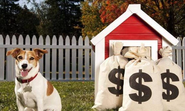 Mexicanos gastan su dinero en mascotas