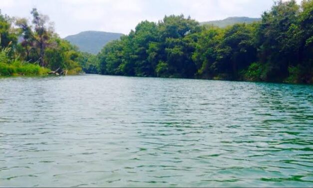 Es viable traer agua del Rio guayalejo: Proagua.
