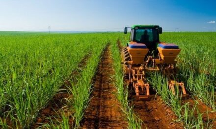 Gobierno elimina el Programa de Aseguramiento Agropecuario.