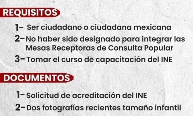 Denuncian desinterés del INE en promocionar consulta para enjuiciar a ex presidentes.