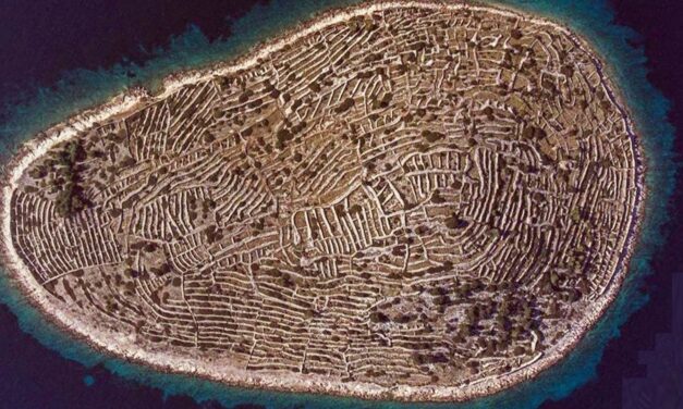 ¿Es una Isla o una Huella Dactilar?