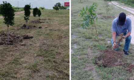 Reforesta Gobierno de Río Bravo áreas verdes para mejorar medioambiente