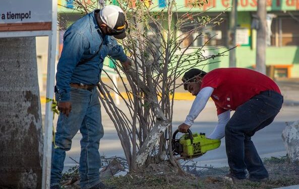 Diariamente se procura el embellecimiento