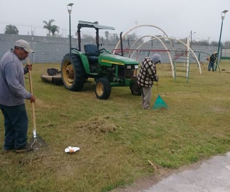 Se realizan labores de limpieza en camellón central de las Avenidas Olivos y Laureles
