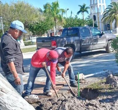 Se llevan a cabo acciones en beneficio al Poblado «El Realito»