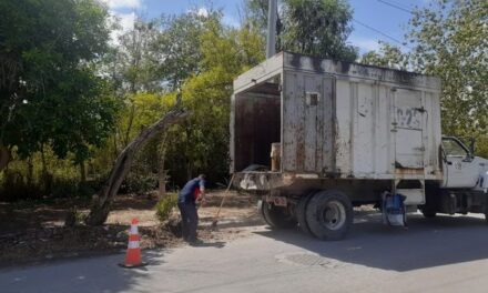 Trabajos de limpieza en diversas áreas de Río Bravo