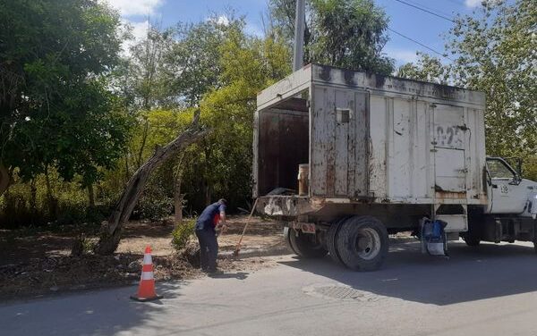 Trabajos de limpieza en diversas áreas de Río Bravo